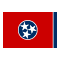 Georgia State